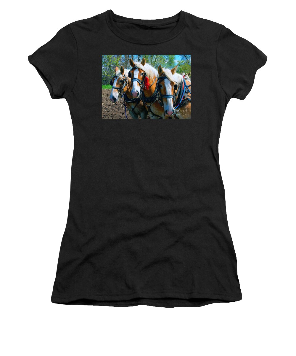  Draft Women's T-Shirt featuring the photograph Three Horses Break Time by Tom Jelen