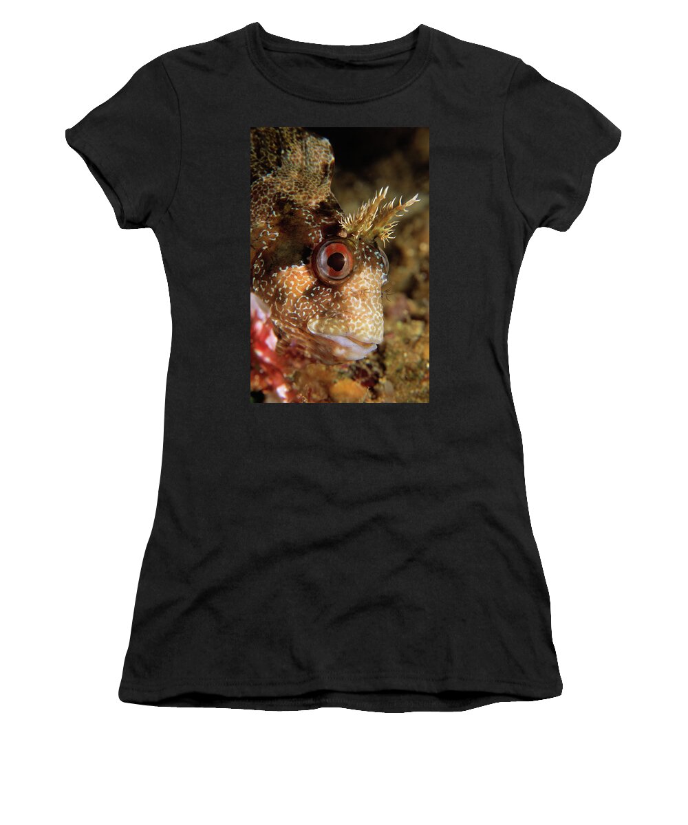 00283228 Women's T-Shirt featuring the photograph Tompot Blenny Portrait by Hans Leijnse