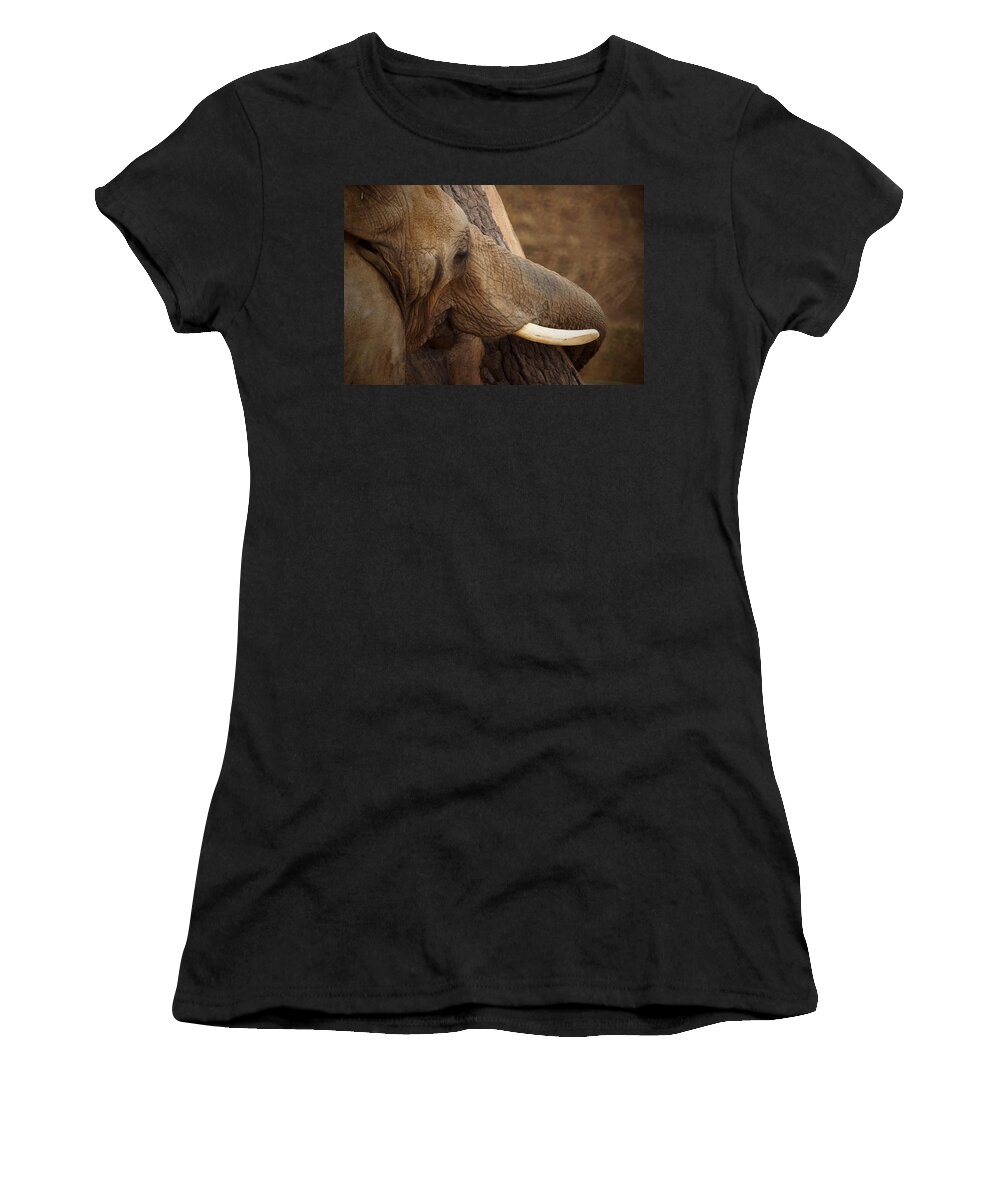 Tree Hugging Elephant Women's T-Shirt featuring the photograph Tree Hugging Elephant by Ernest Echols