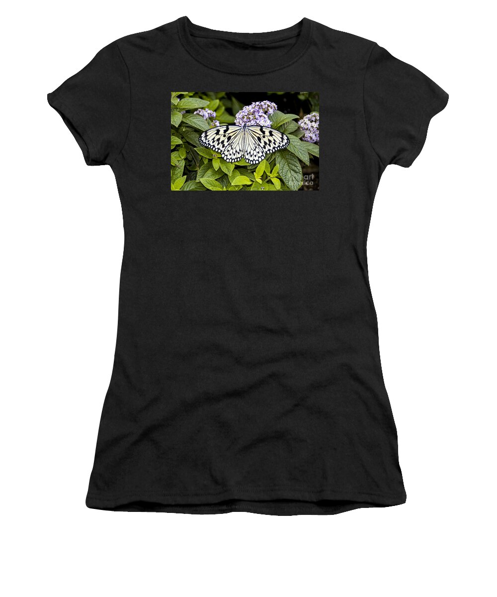 Reiman Gardens Women's T-Shirt featuring the photograph Reiman Gardens Tree Nymph Butterfly One by Bob Phillips