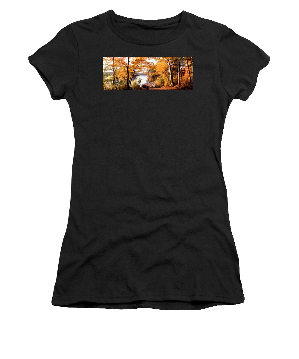 Photography Women's T-Shirt featuring the photograph Trees At The Lakeside, Great Sacandaga by Panoramic Images
