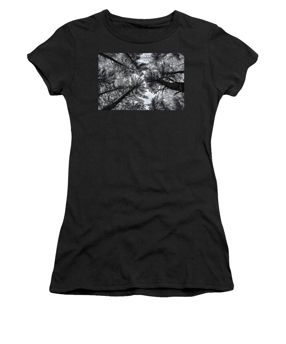 Tree Photographs Women's T-Shirt featuring the photograph Trees in Winter by Phyllis Meinke