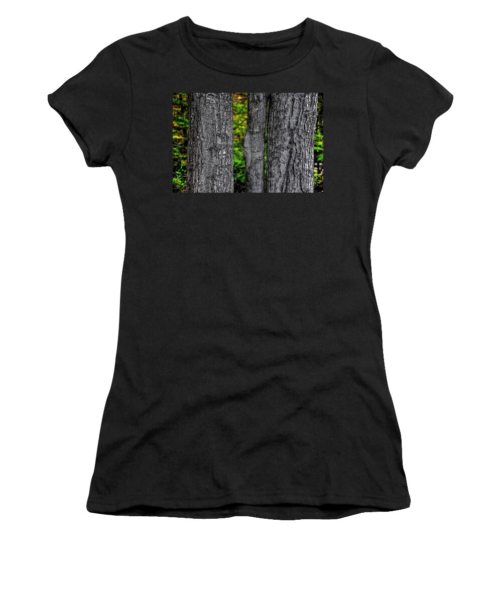 Trees Women's T-Shirt featuring the photograph Trees by Phyllis Meinke