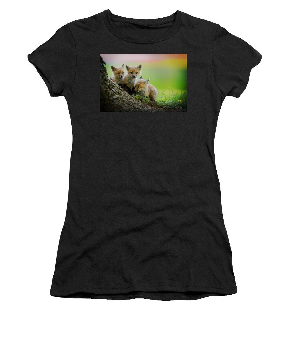 Fox Women's T-Shirt featuring the photograph Trio of fox kits by Everet Regal