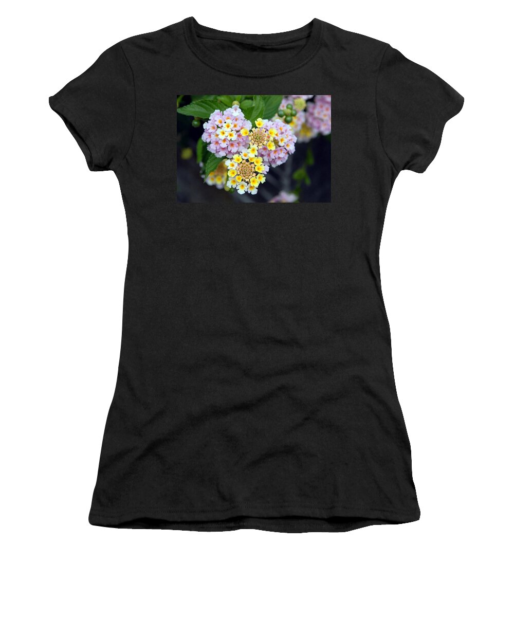 Flower Women's T-Shirt featuring the photograph Tropical Plant Lantana Camara or West Indian Lantana by Taiche Acrylic Art