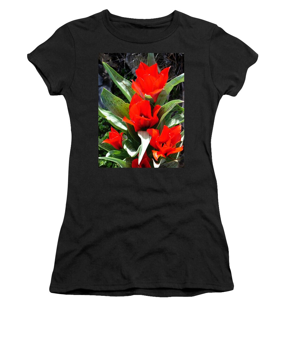 Tulips Women's T-Shirt featuring the photograph Tulip Flame by Steve Karol