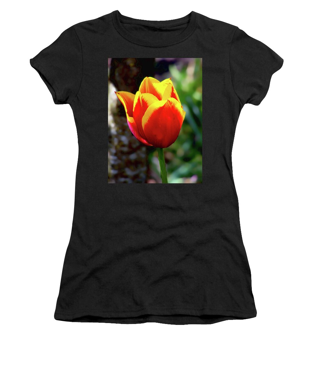 Tulip Women's T-Shirt featuring the photograph Tulip by Ron Roberts