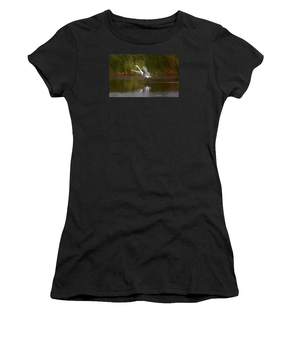 Great Egret Women's T-Shirt featuring the photograph Twinkle Toes by Leticia Latocki
