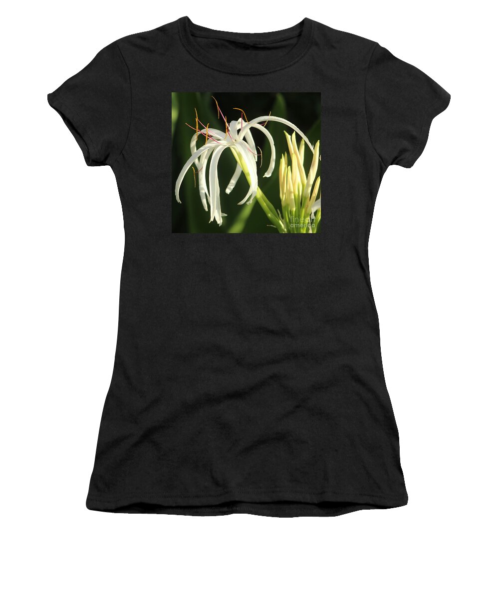 White Women's T-Shirt featuring the photograph Beauty All Around Us by Fiona Kennard