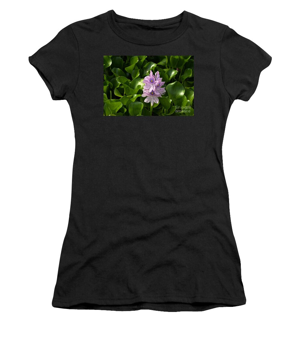 Water Hyacinth Women's T-Shirt featuring the photograph Unmanageable Beauty The Water Hyacinth by Byron Varvarigos