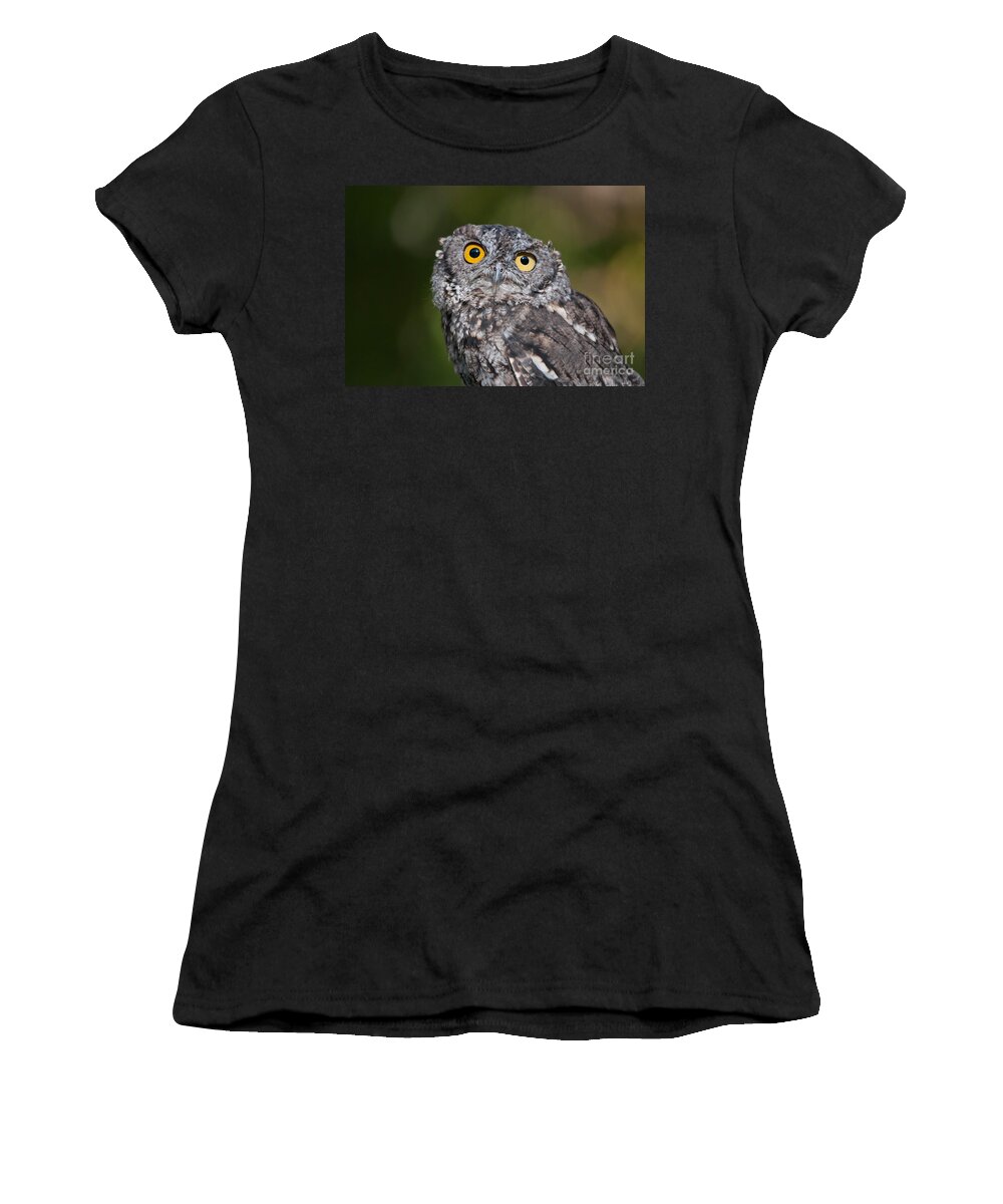 Western Screech Owl Women's T-Shirt featuring the photograph Western Screech Owl No. 3 by John Greco