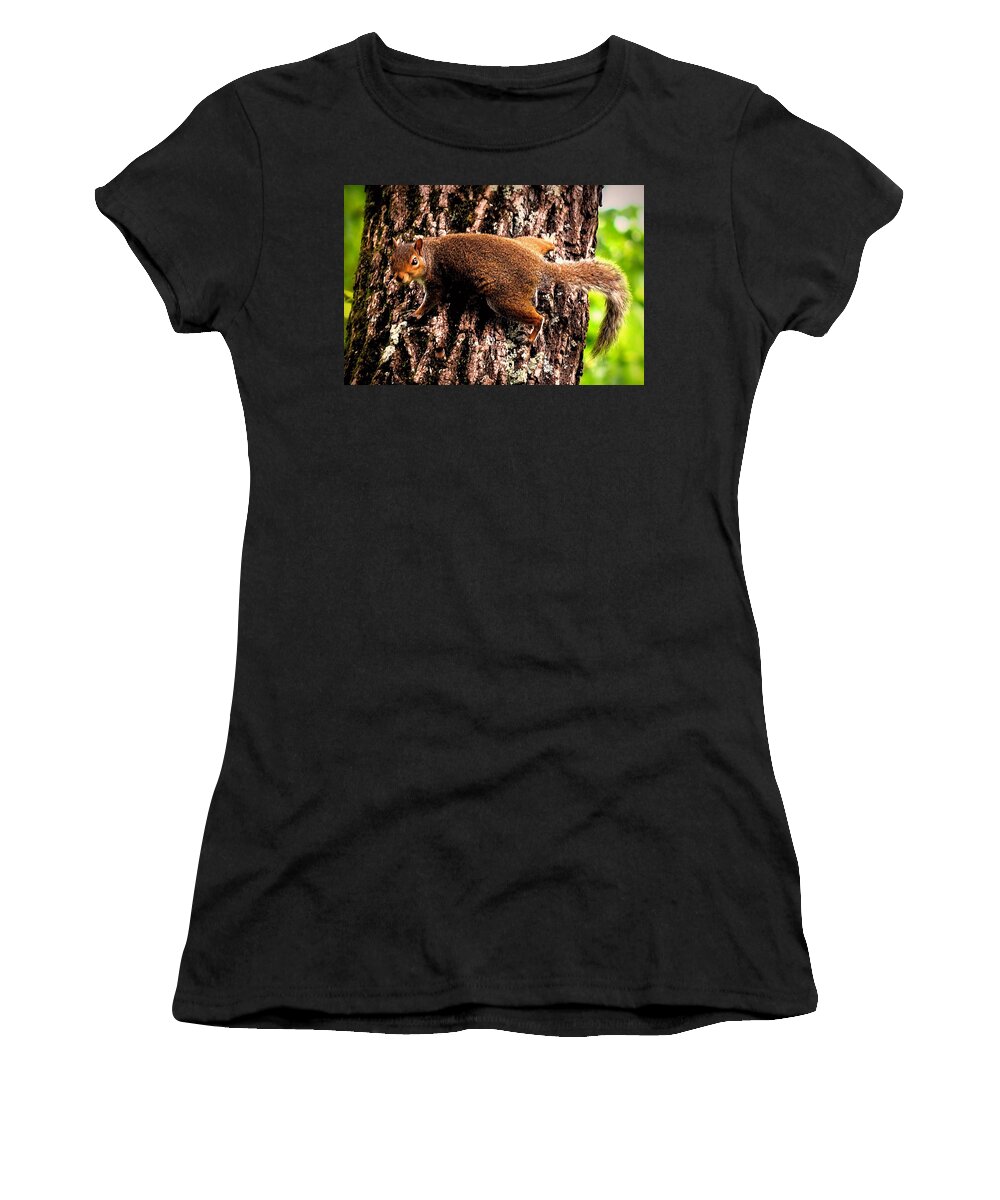 Squirrels Women's T-Shirt featuring the photograph What Are You Looking At by Tara Potts
