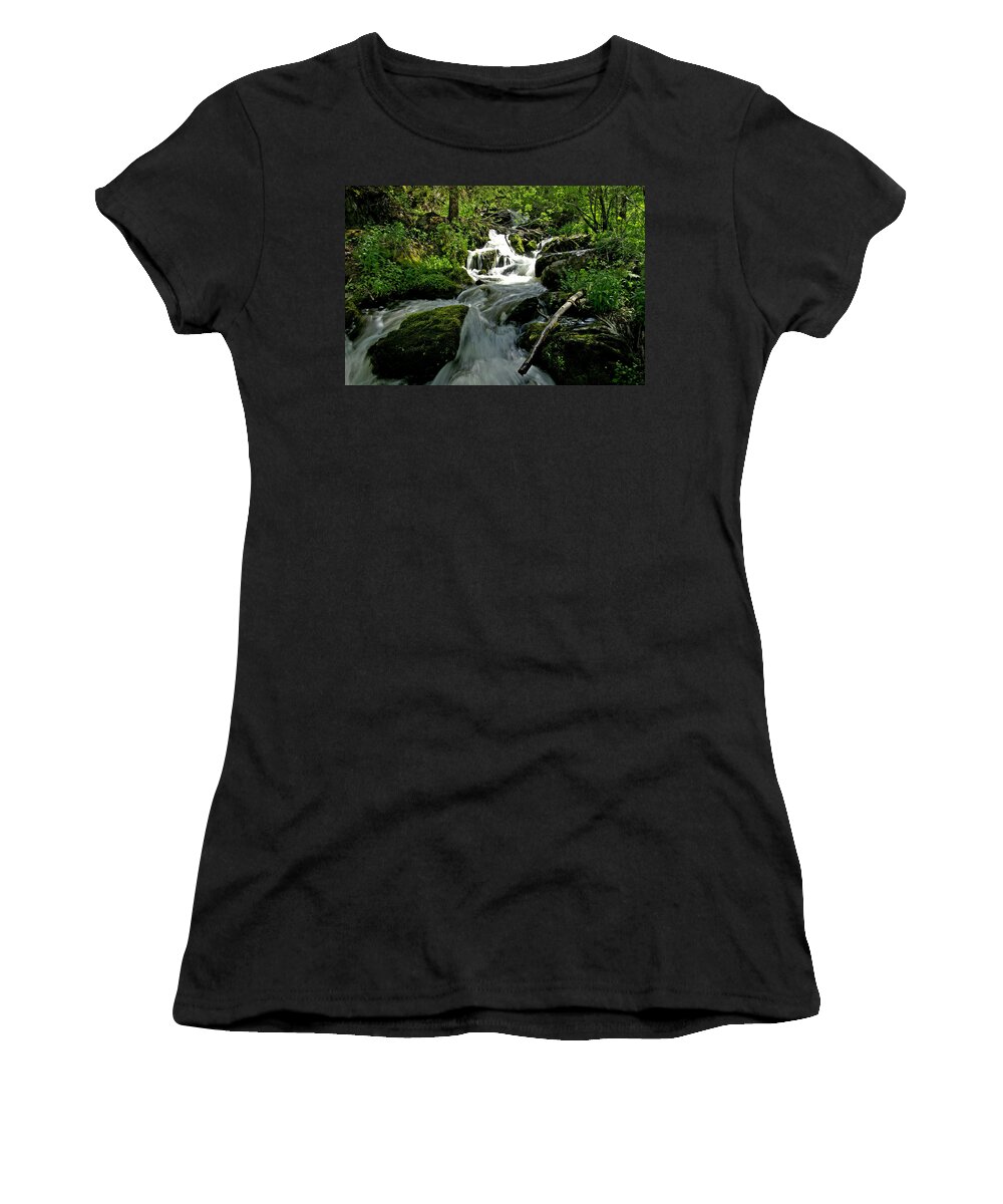 Foliage Women's T-Shirt featuring the photograph When Snow Melts by Jeremy Rhoades