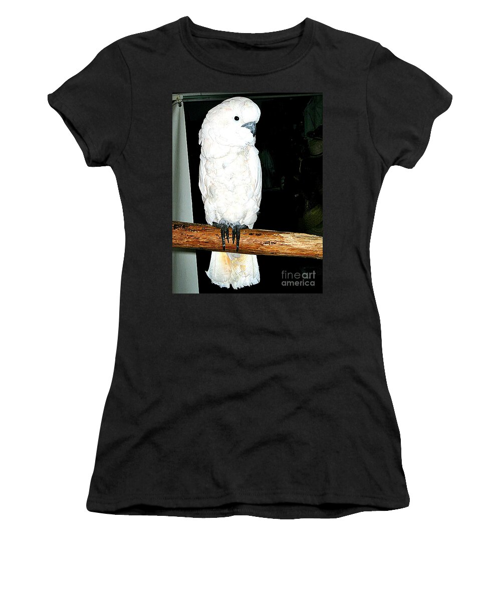 Birds Women's T-Shirt featuring the photograph White Cockatiel-loreto Mx. by Jay Milo