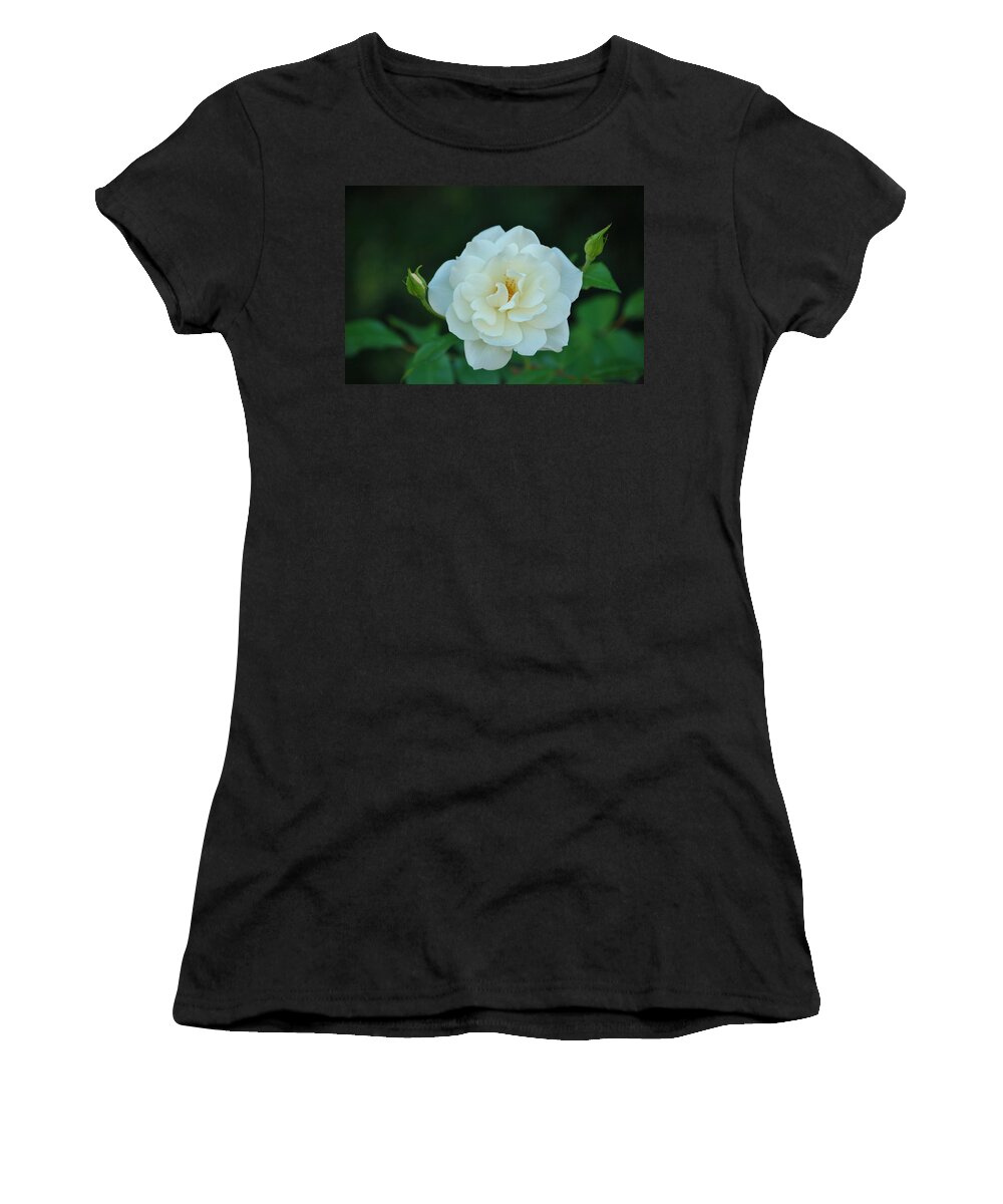 Linda Brody Women's T-Shirt featuring the photograph White Rose with Two Buds by Linda Brody