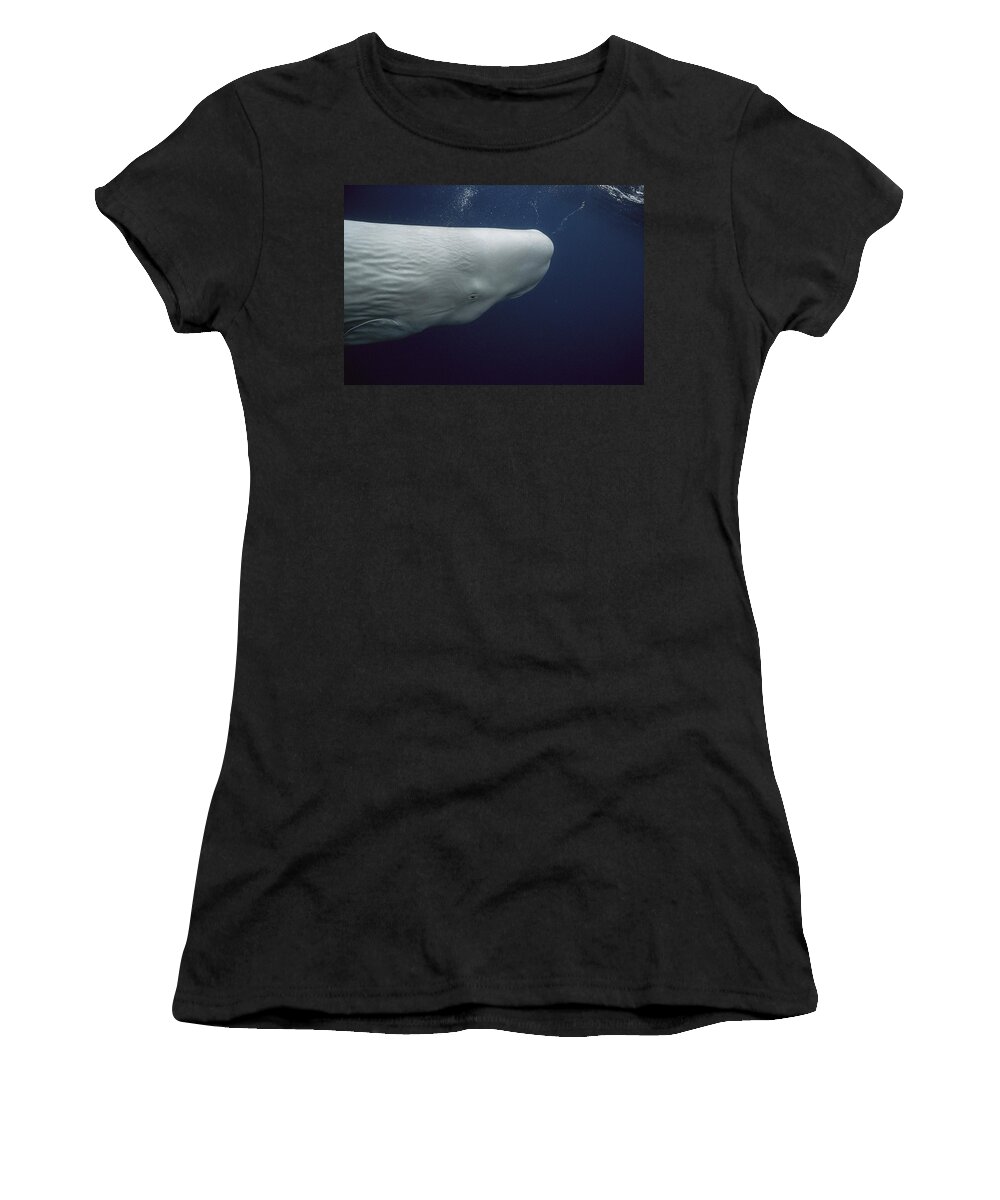 Feb0514 Women's T-Shirt featuring the photograph White Sperm Whale Azores Islands by Hiroya Minakuchi