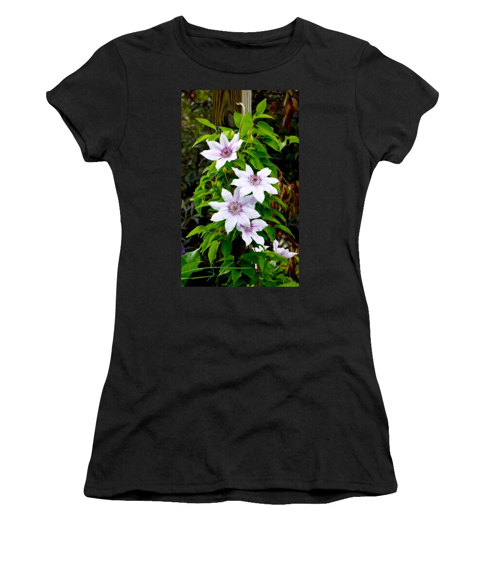 White With Purple Flower Women's T-Shirt featuring the photograph White with purple flowers 2 by Tracy Winter