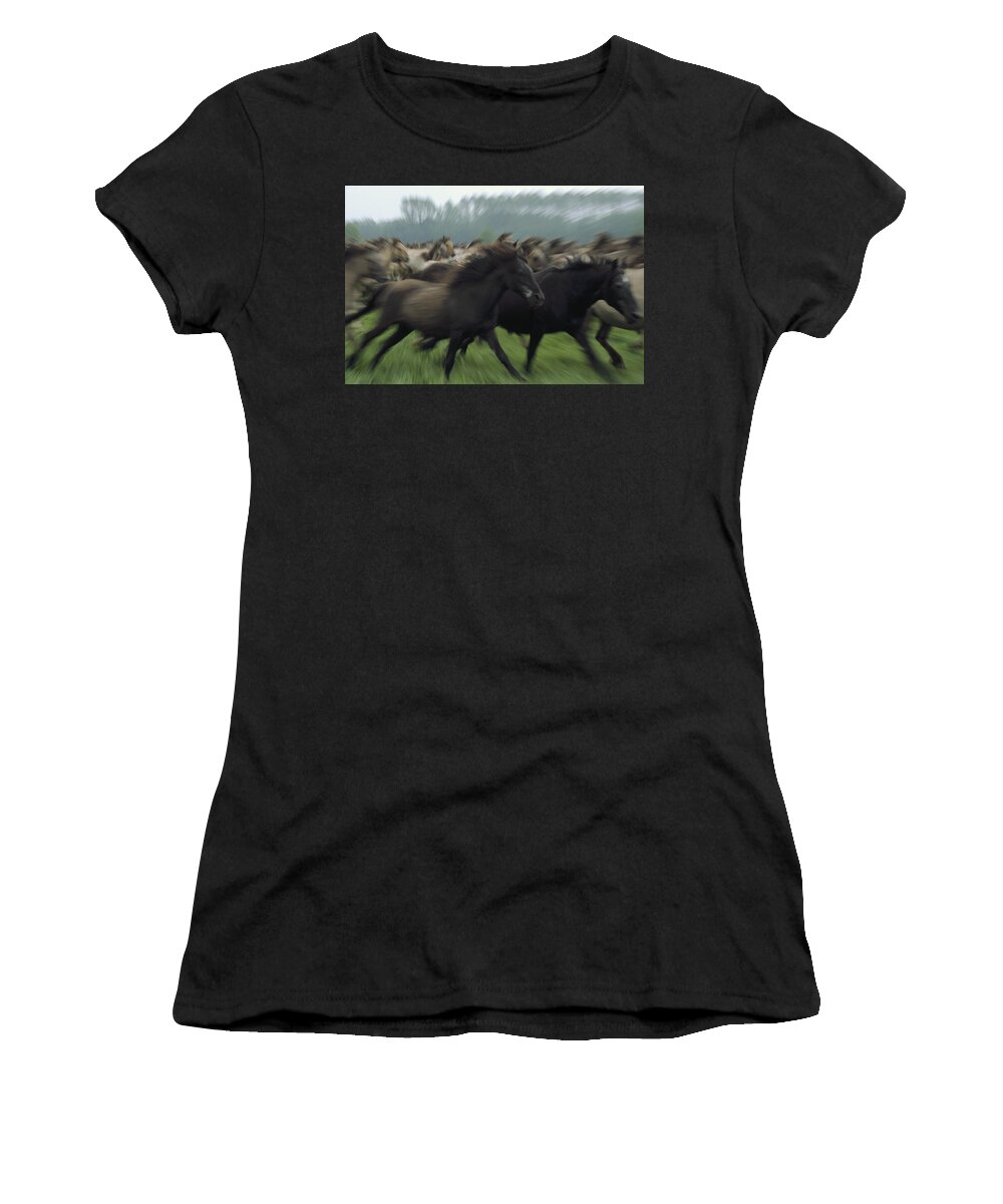 00193562 Women's T-Shirt featuring the photograph Wild Horse Equus Caballus Herd by Konrad Wothe