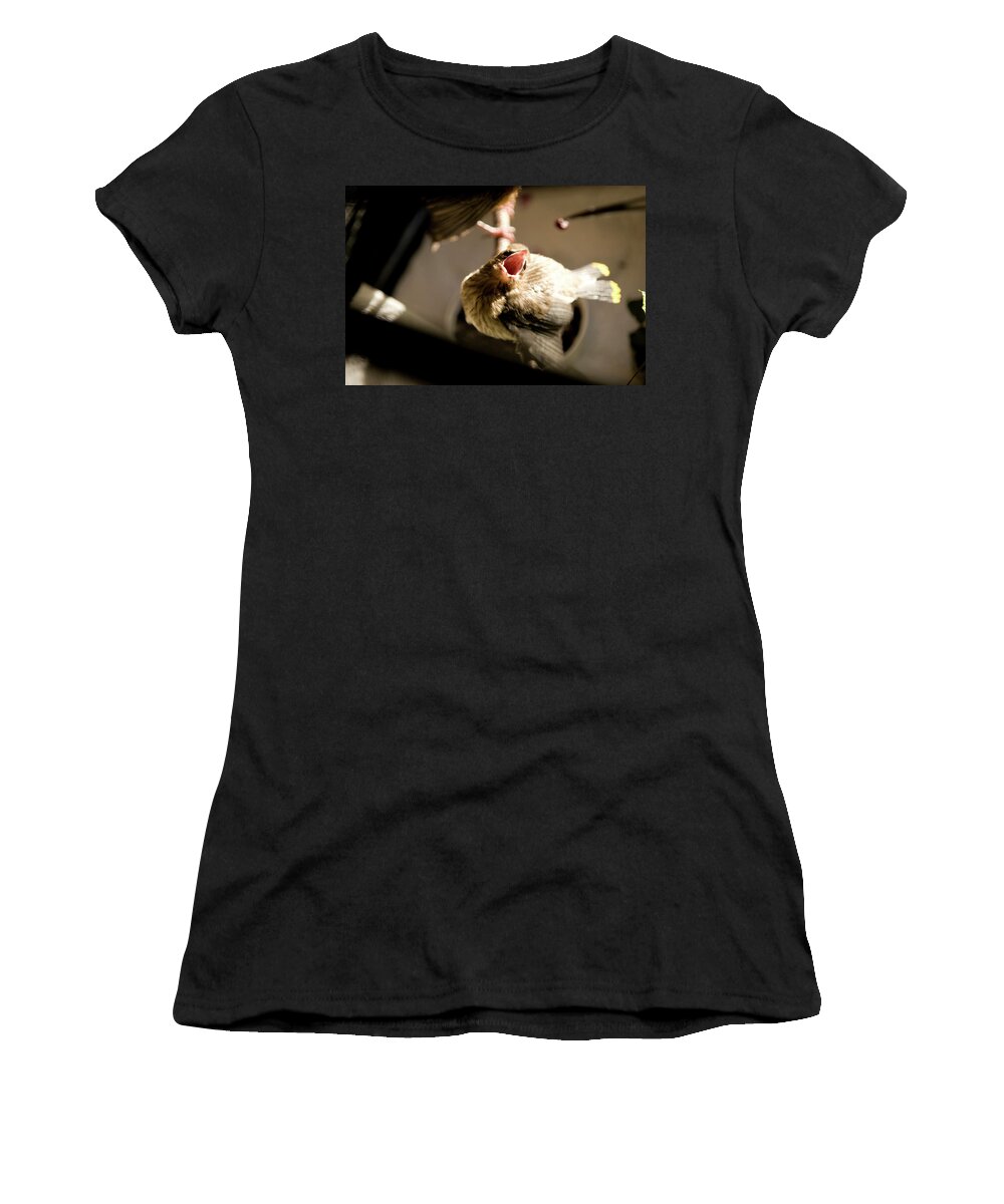 Animal Women's T-Shirt featuring the photograph Wildlife Rehaba Young Cedar Waxwing by Carl D. Walsh