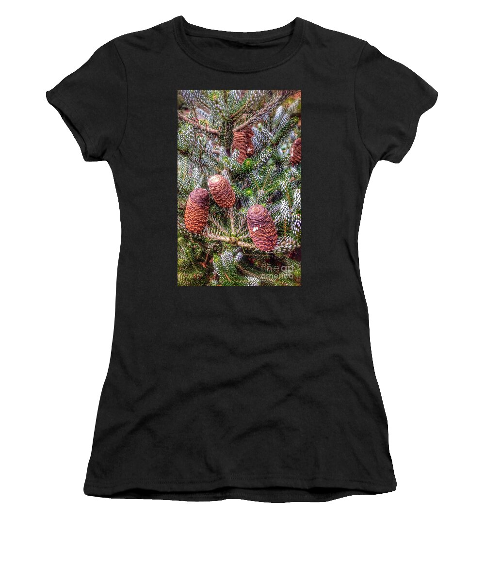  Pine Tree Women's T-Shirt featuring the photograph Winter Pine Cones by Susan Garren