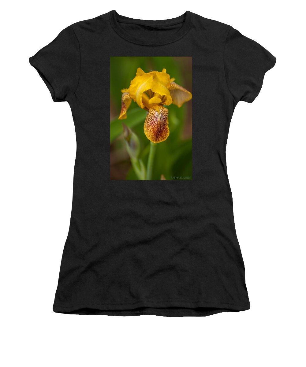 Bearded Iris Women's T-Shirt featuring the photograph Yellow Bearded Iris by Brenda Jacobs
