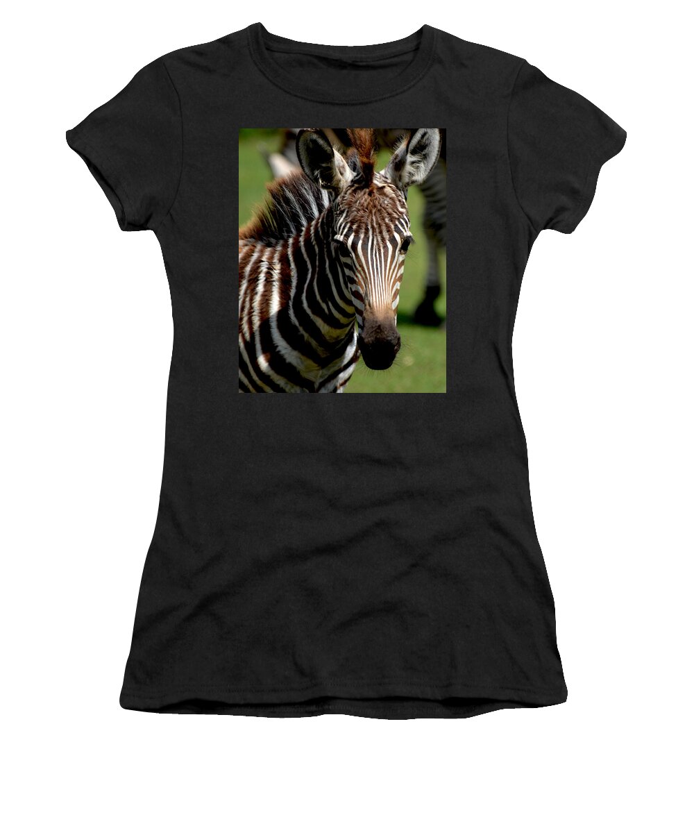 Zebra Women's T-Shirt featuring the photograph Zebra Foal 4 by Maggy Marsh