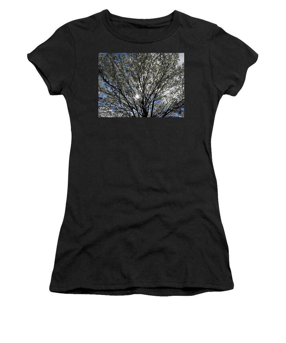 Cherry Blossom Women's T-Shirt featuring the photograph Cherry Blossoms #1 by Kim Galluzzo