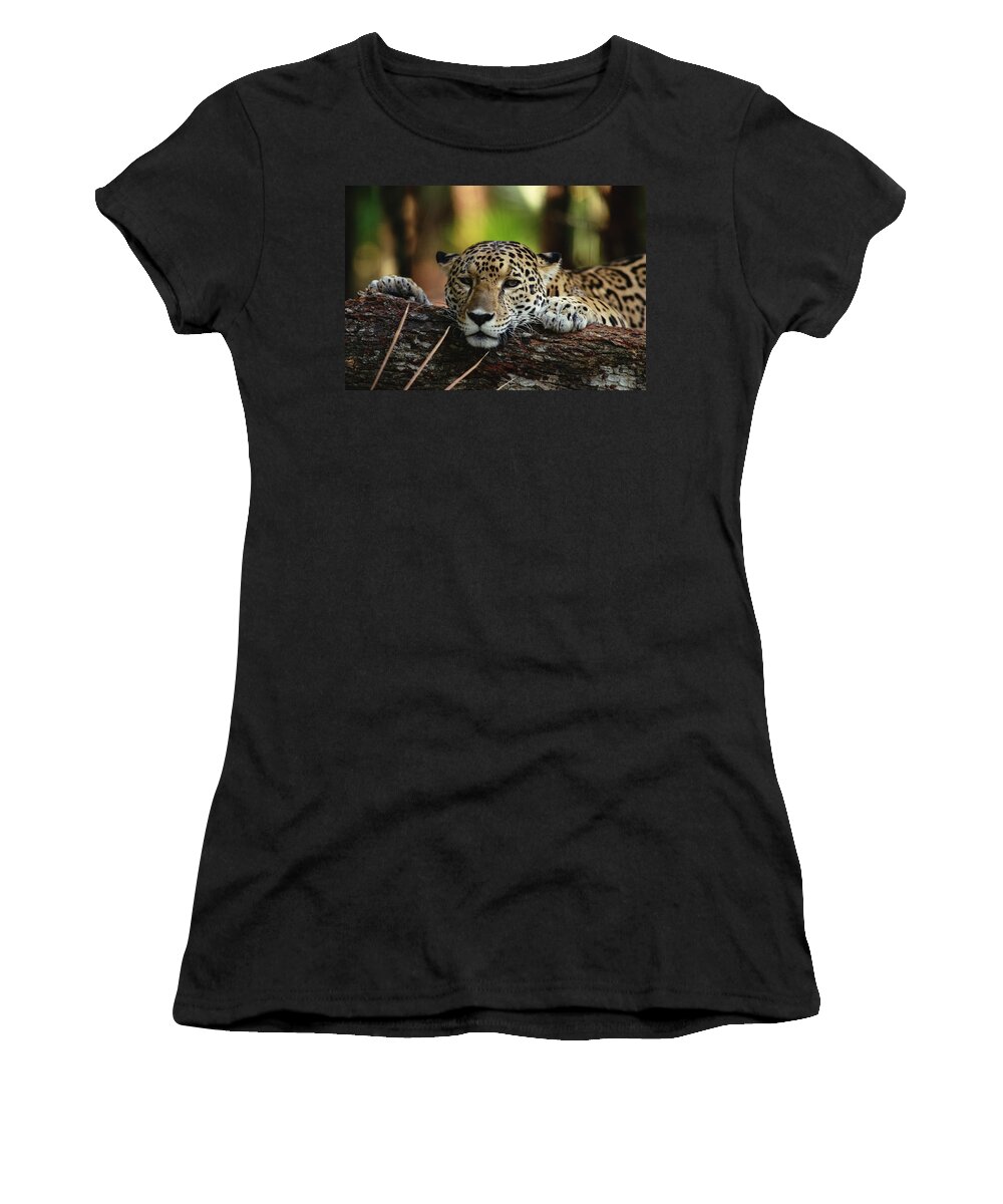 Mp Women's T-Shirt featuring the photograph Jaguar Panthera Onca Portrait, Belize #1 by Gerry Ellis