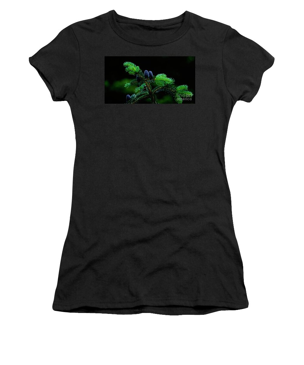 Pine Cones Women's T-Shirt featuring the photograph Mountain Life by Sharon Elliott