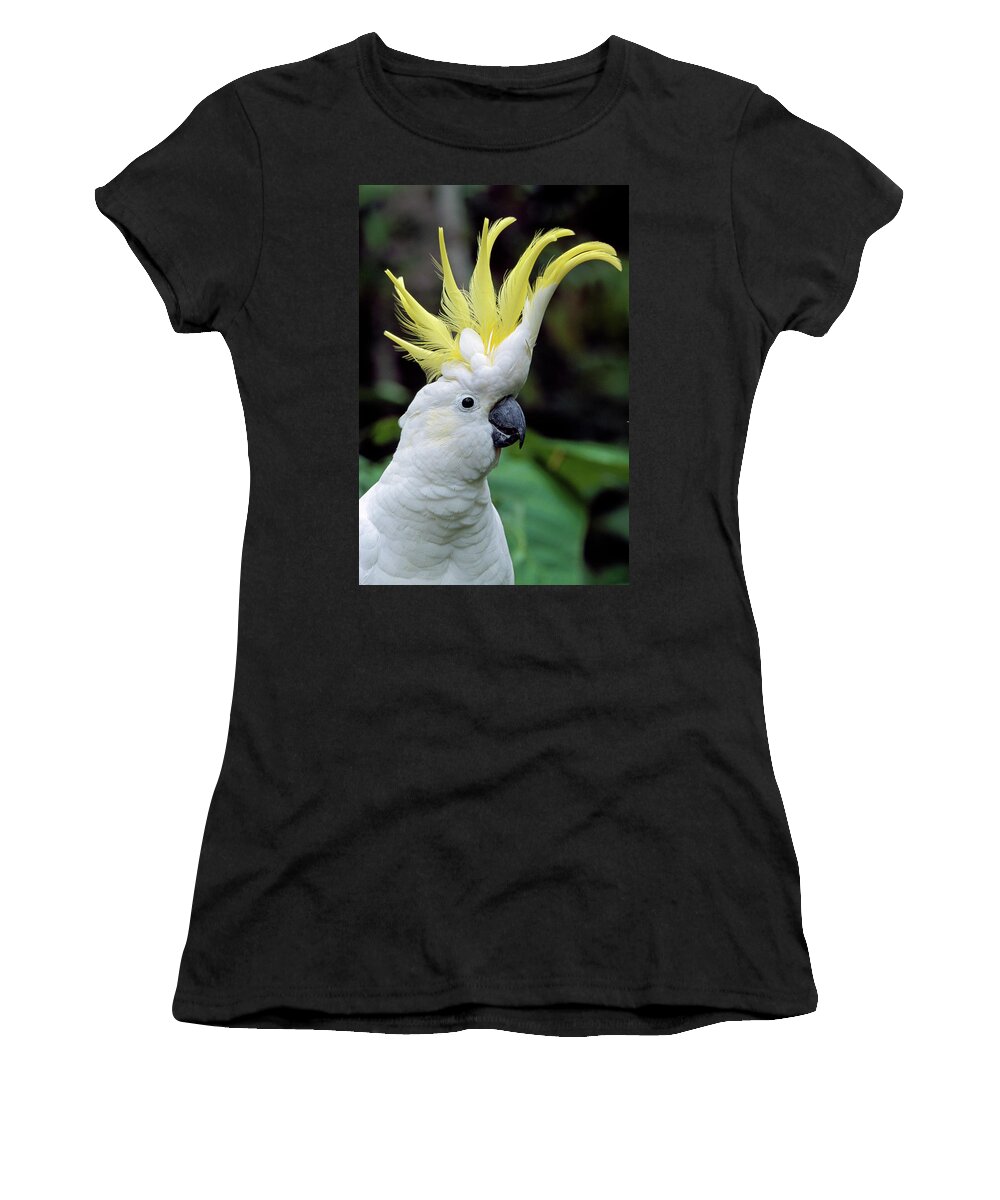 00785496 Women's T-Shirt featuring the photograph Sulphur-crested Cockatoo Cacatua by Thomas Marent
