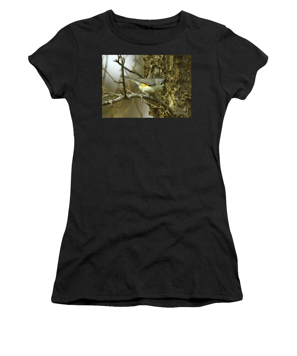 Animal Women's T-Shirt featuring the photograph Tufted Titmouse #1 by Robert Frederick