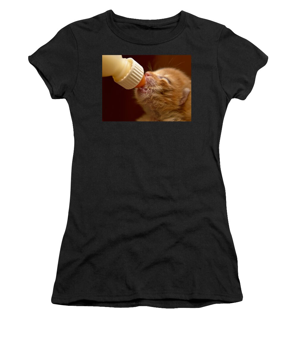 Animal Women's T-Shirt featuring the photograph Kitty #2 by Michael Goyberg