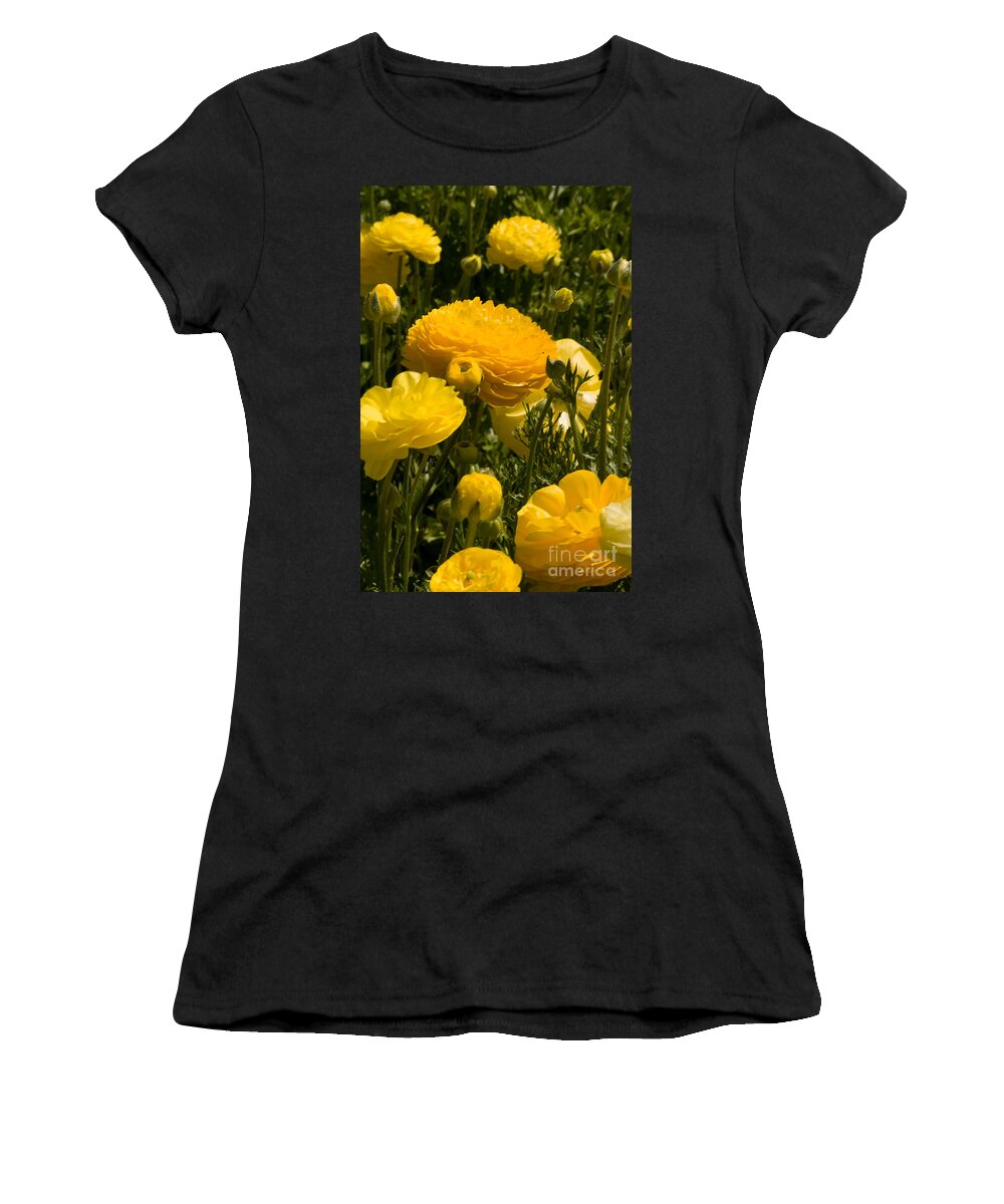 Flowers Women's T-Shirt featuring the photograph Flower Fields #20 by Daniel Knighton