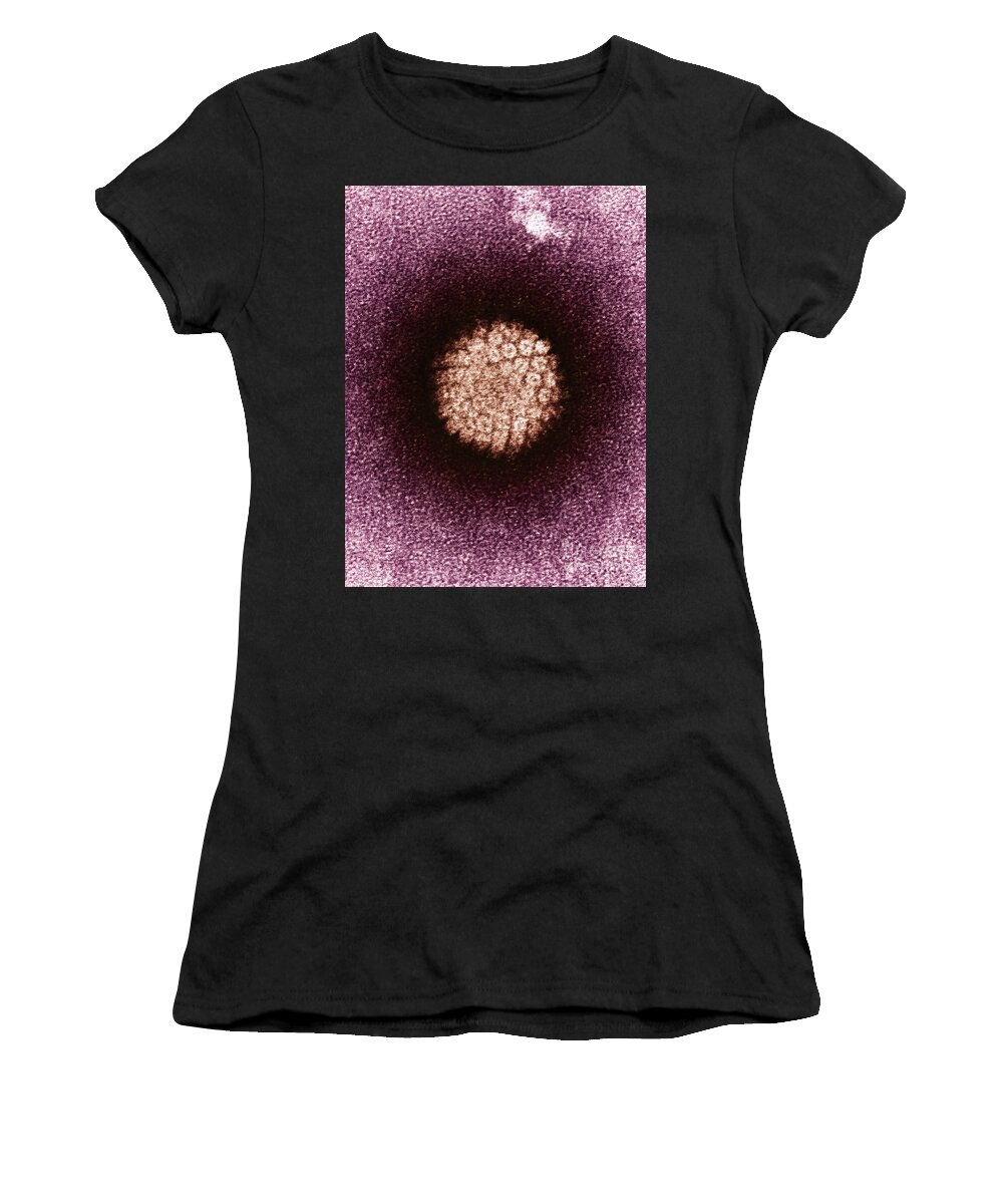 Electron Micrograph Women's T-Shirt featuring the photograph Human Papilloma Virus Hpv #3 by Science Source