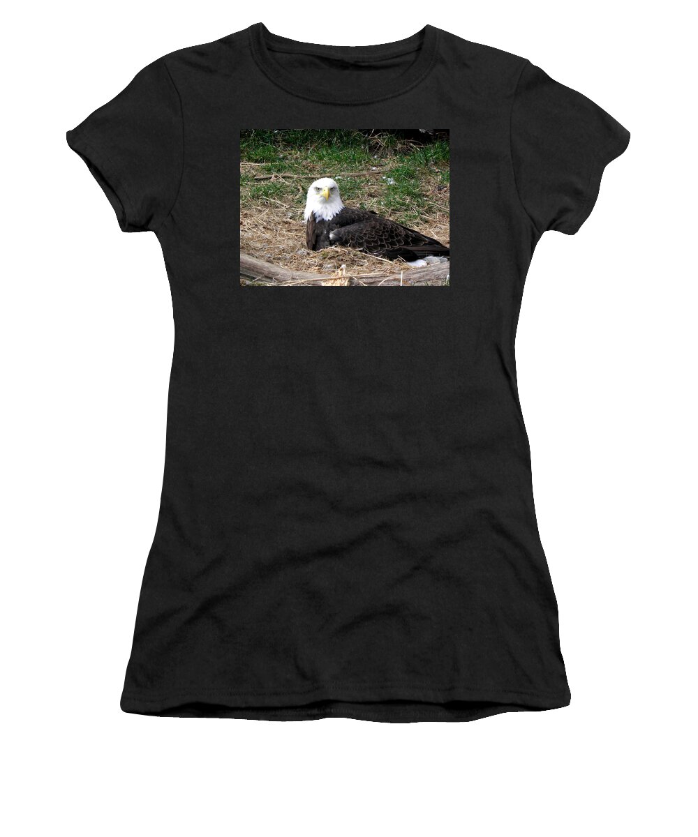 Bald Eagle Women's T-Shirt featuring the photograph Stare Down #4 by Kim Galluzzo