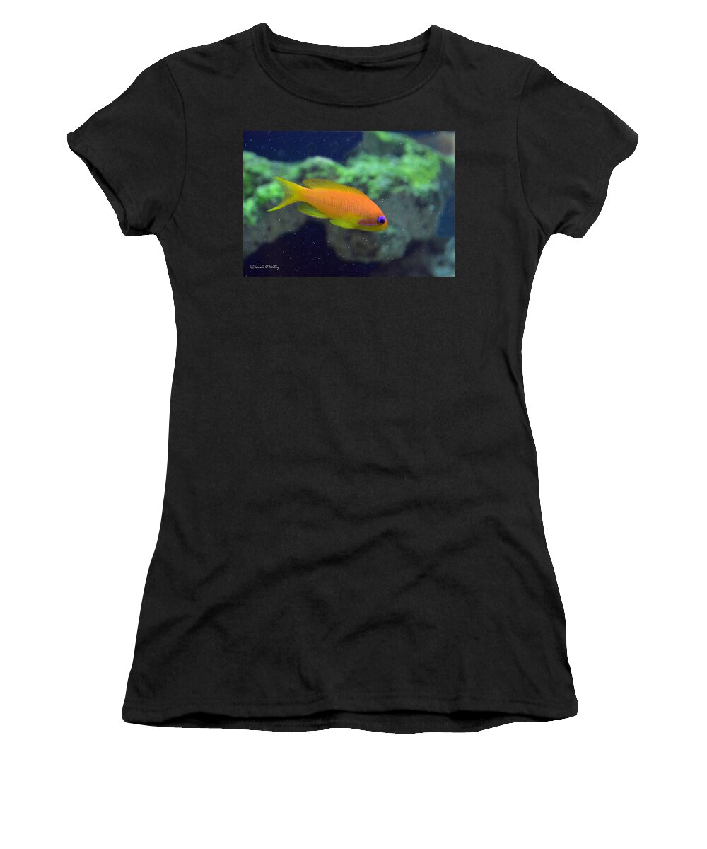African Anthias Women's T-Shirt featuring the photograph African Anthias by Sandi OReilly