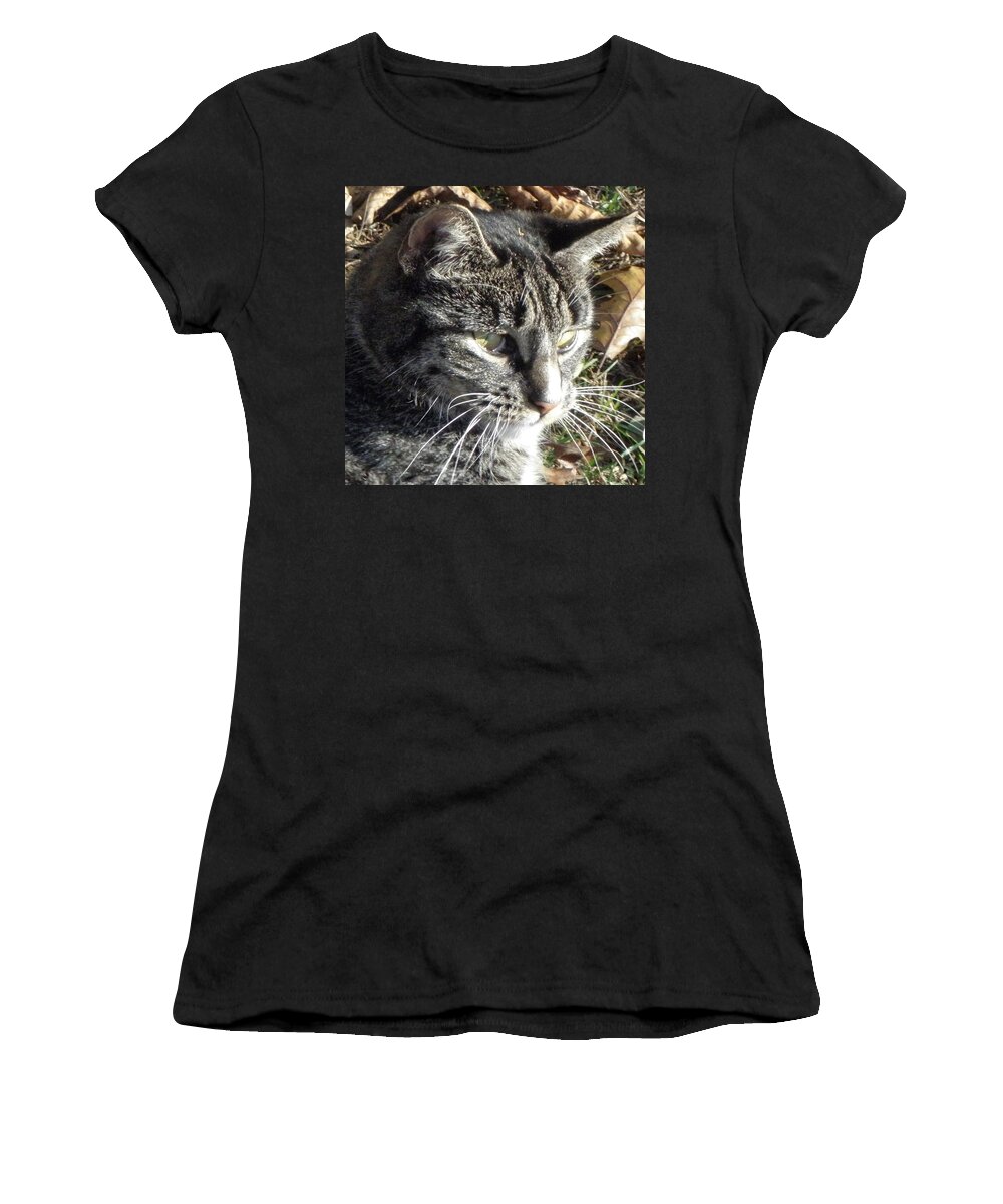 Cat Women's T-Shirt featuring the photograph Always In Hunt Mode by Kim Galluzzo Wozniak