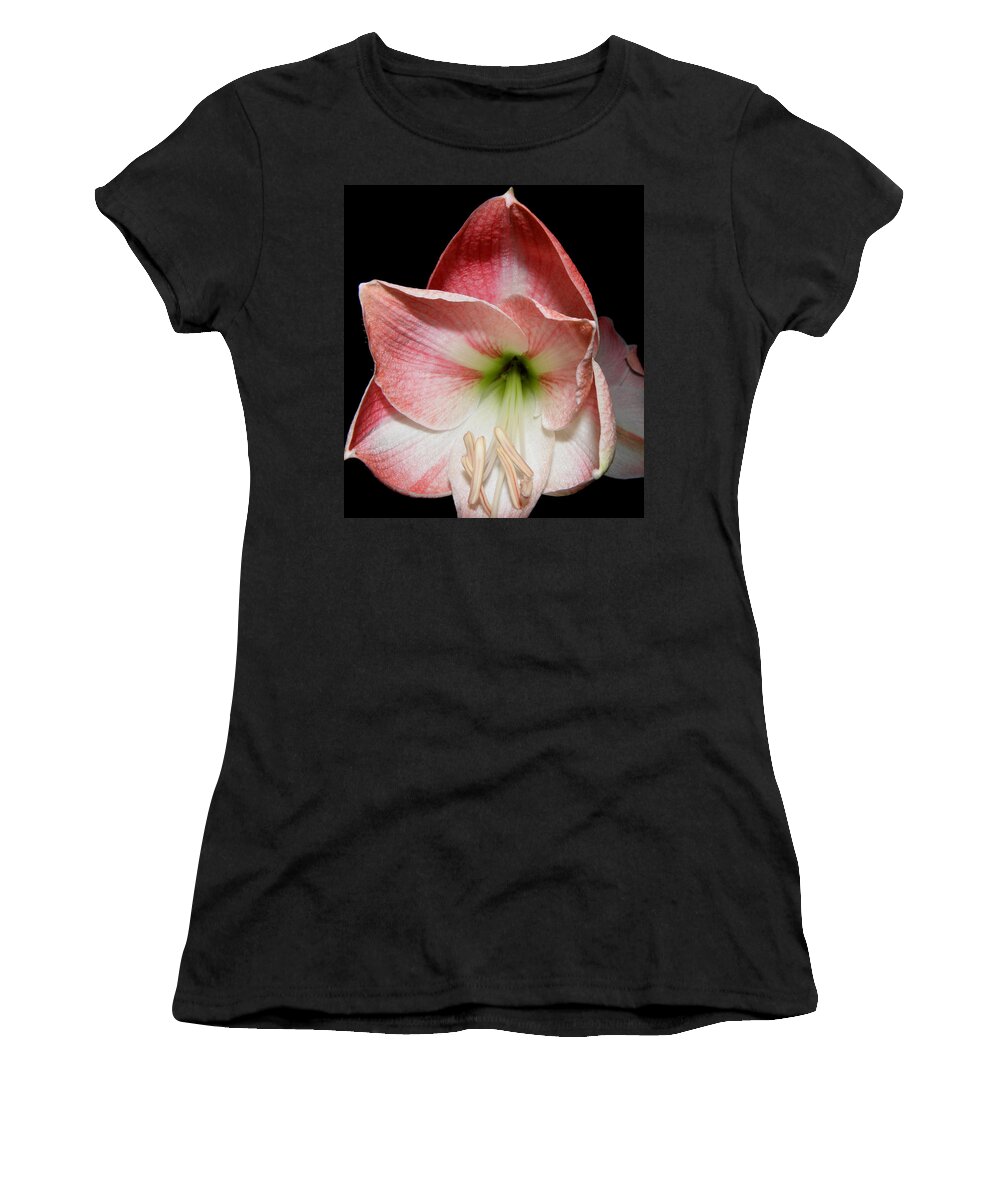 Lily Women's T-Shirt featuring the photograph Amaryllis in bloom by Kim Galluzzo Wozniak