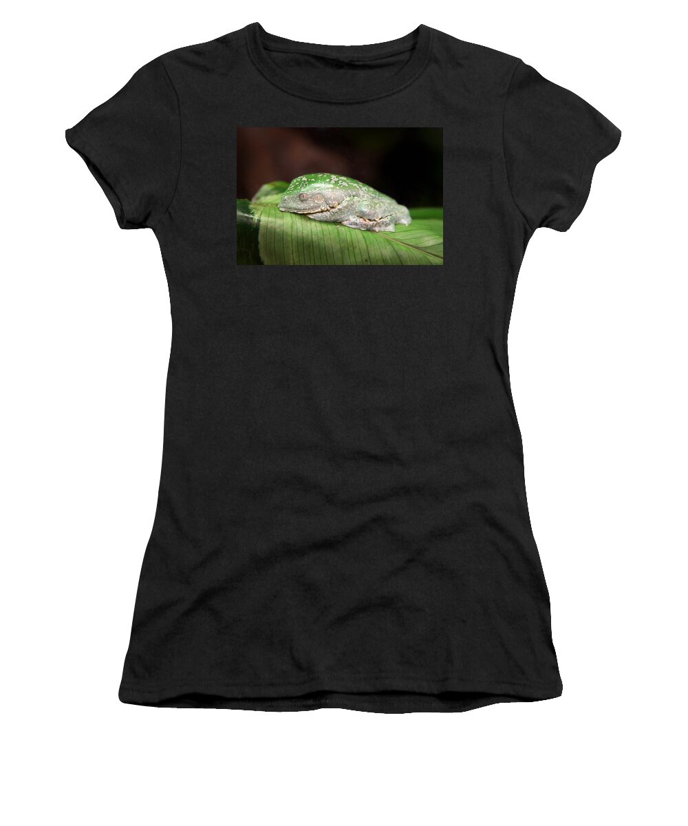 Granger Photography Women's T-Shirt featuring the photograph Amazon Leaf Frog by Brad Granger