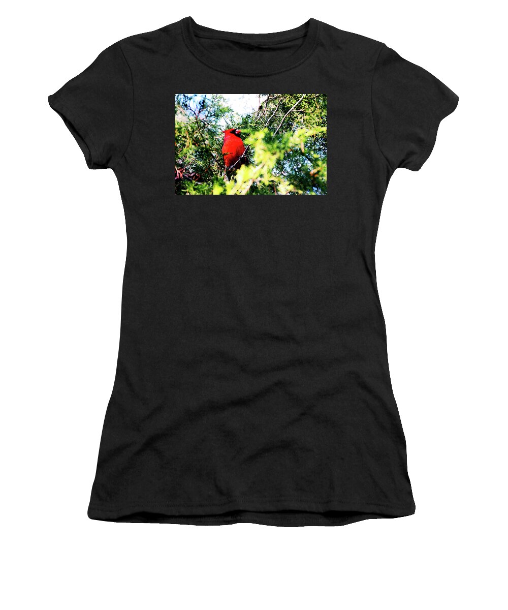 Nature Women's T-Shirt featuring the photograph Among the Branches by La Dolce Vita