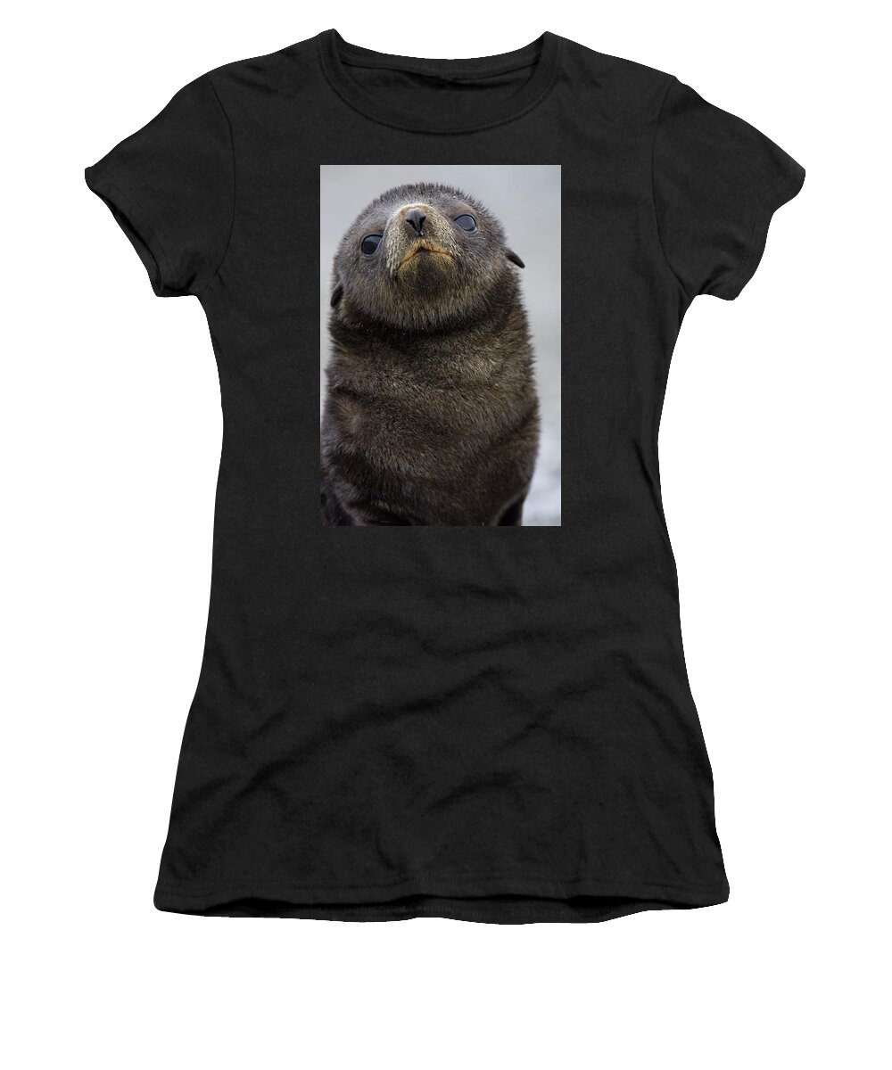 Mp Women's T-Shirt featuring the photograph Antarctic Fur Seal Arctocephalus by Suzi Eszterhas