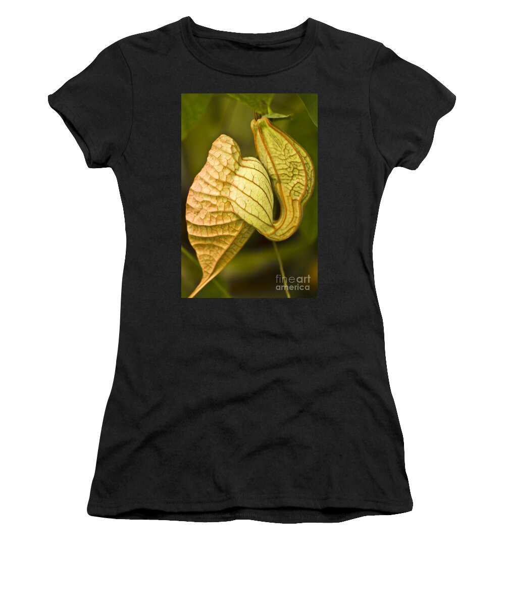 Nature Women's T-Shirt featuring the photograph Aristolochia grandiflora III by Heiko Koehrer-Wagner