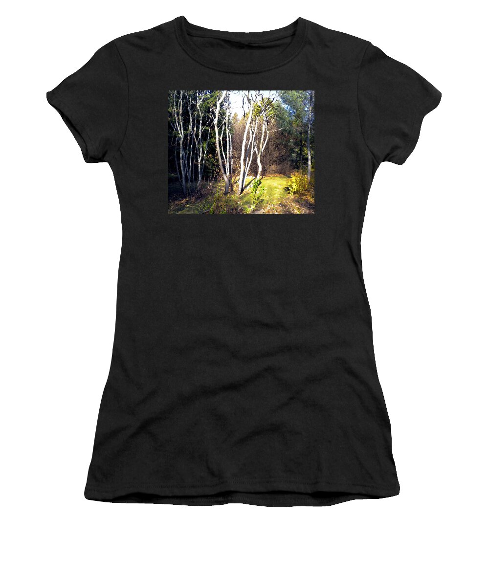 Trees Women's T-Shirt featuring the painting Autumn Sumacs by Renate Wesley