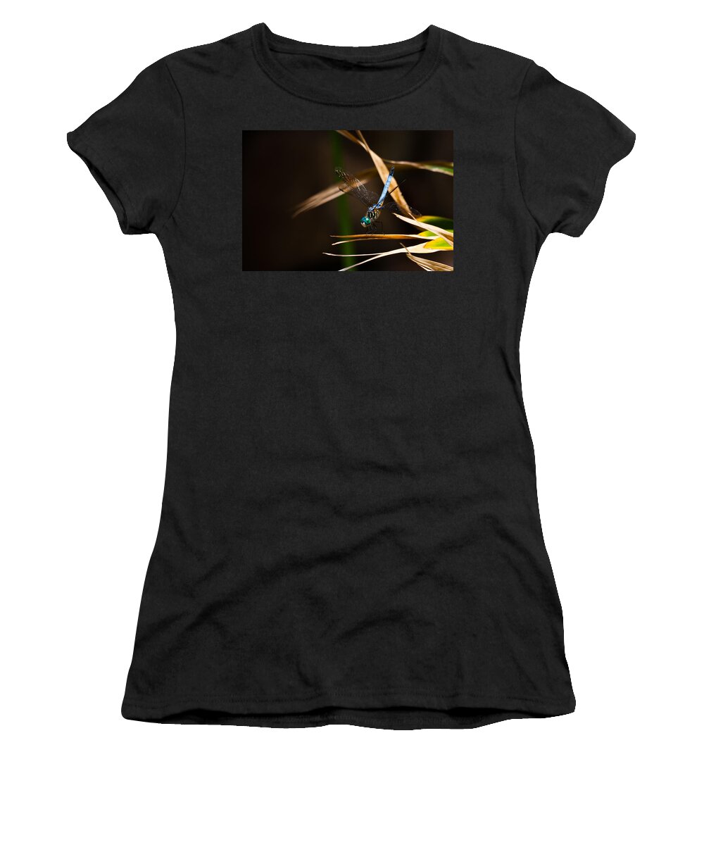 Blue Dasher Women's T-Shirt featuring the photograph Blue Dasher Dragonfly by Ed Gleichman