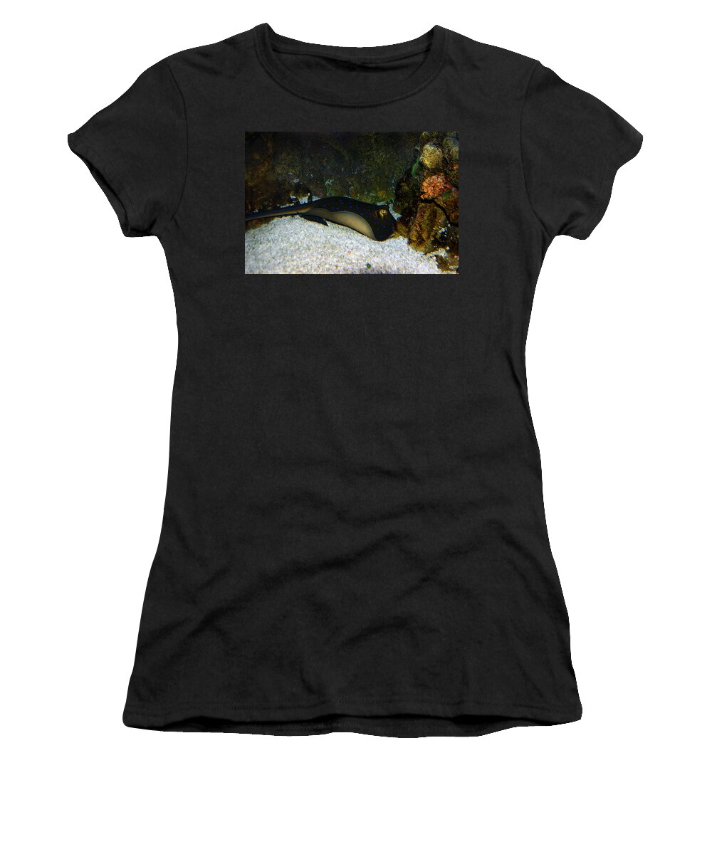 Blue Spotted Stingray Women's T-Shirt featuring the photograph Blue Spotted Stingray by Anthony Jones