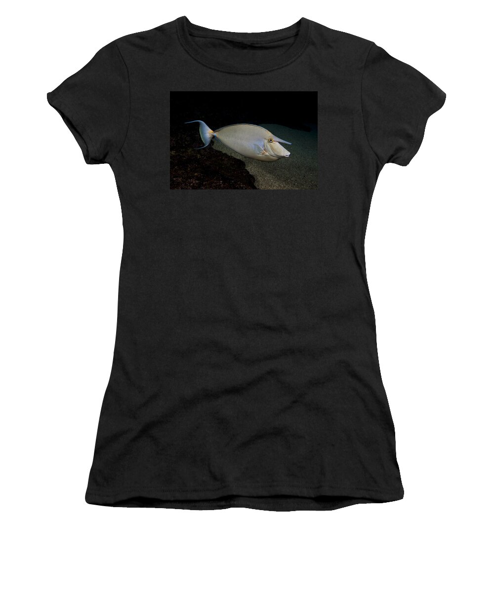 Background Women's T-Shirt featuring the photograph Bluespine Unicornfish by Dave Fleetham