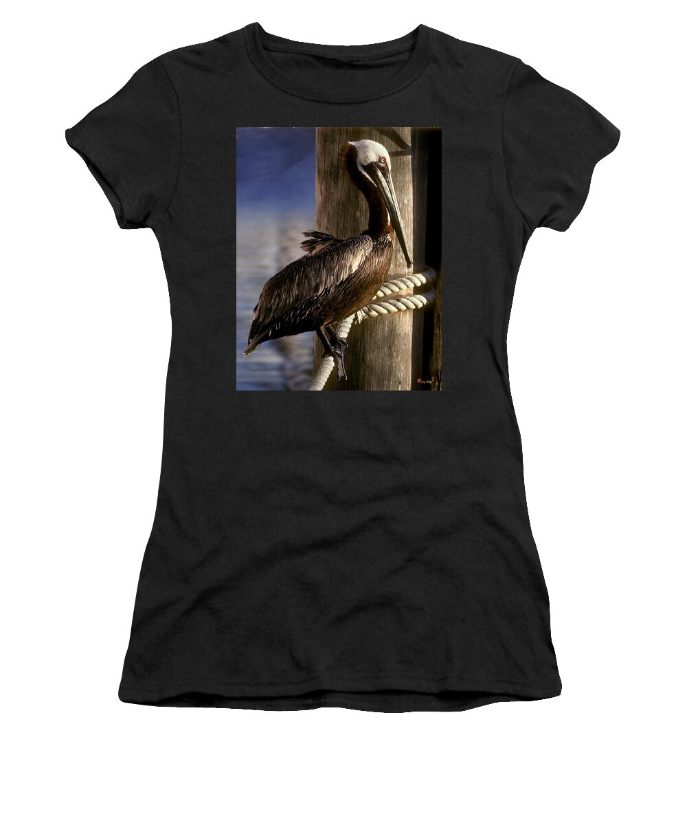 Birds Women's T-Shirt featuring the photograph Brown Pelican in Key West 9L by Gerry Gantt