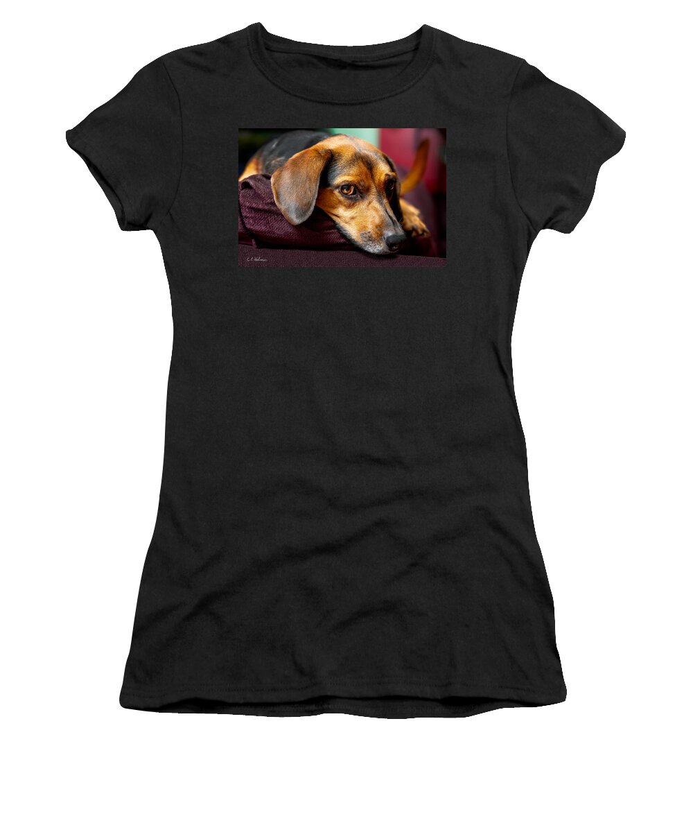 Dog Women's T-Shirt featuring the photograph Buffy by Christopher Holmes