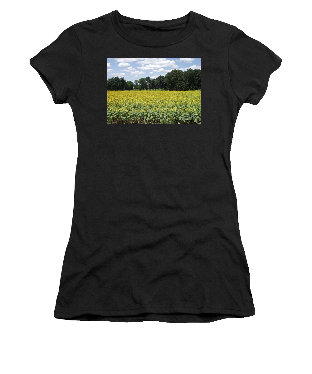 Buttonwood Dairy Farm Women's T-Shirt featuring the photograph Buttonwood Farm 2 by Michelle Welles