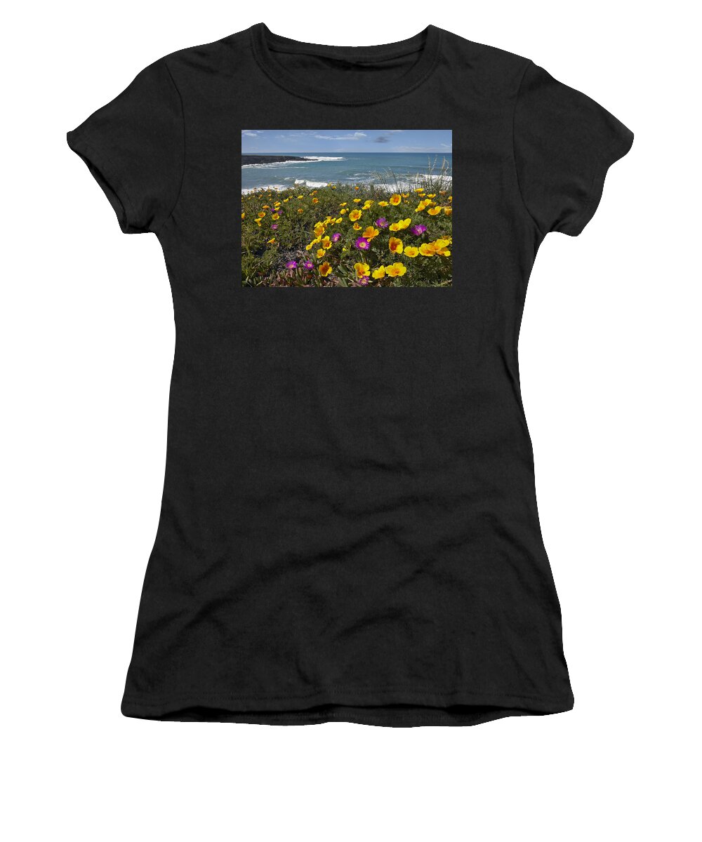 00443044 Women's T-Shirt featuring the photograph California Poppy And Iceplant by Tim Fitzharris